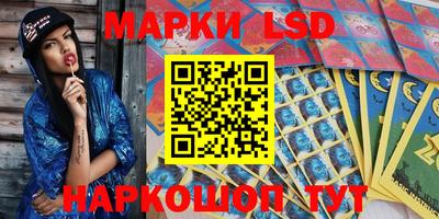 мяу мяу мука Гатчина