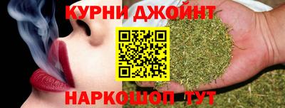 мяу мяу мука Гатчина