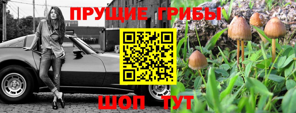 даркнет сайт  Галлюциногенные грибы мицелий  Вход с VPN  Галлюциногенные грибы Psilocybe  Ноябрьск 